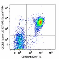 PE/Dazzle™ 594 anti-mouse CD185 (CXCR5)