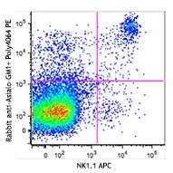 PE Donkey anti-rabbit IgG (min. x-reactivity)
