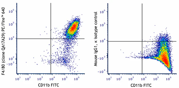 PE/Fireâ„¢ 640 anti-mouse F4/80 Recombinant