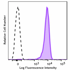 PE/Fire™ 810 anti-human CD138 (Syndecan-1)