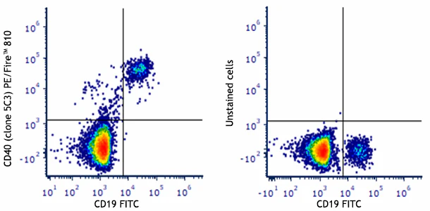 PE/Fire™ 810 anti-human CD40