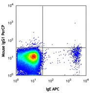 PerCP anti-human CD203c (E-NPP3) - Image 2