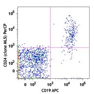 PerCP anti-human CD24