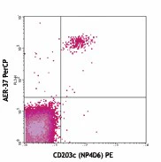 PerCP anti-human FcεRIα