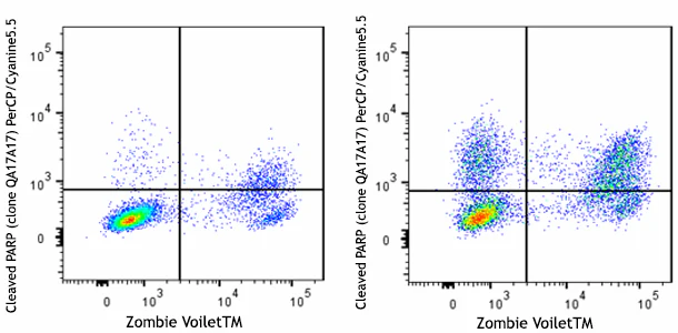 PerCP/Cyanine5.5 anti-Cleaved PARP (Asp214) Recombinant - Image 2