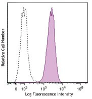 PerCP/Cyanine5.5 anti-human CD146 (MUC18, Mel-CAM)