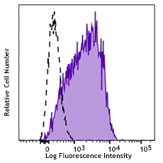 PerCP/Cyanine5.5 anti-human CD166