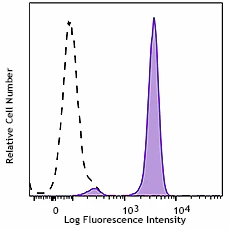 PerCP/Cyanine5.5 anti-human CD181 (CXCR1)