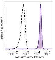 PerCP/Cyanine5.5 anti-human CD182 (CXCR2)