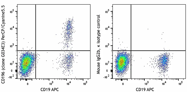 PerCP/Cyanine5.5 anti-human CD196 (CCR6)