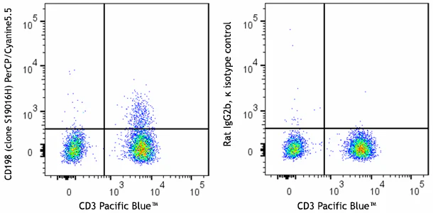 PerCP/Cyanine5.5 anti-human CD198 (CCR8)