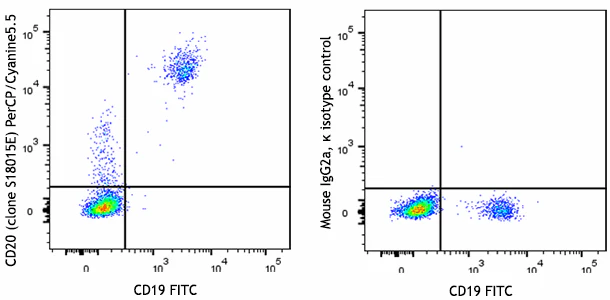 PerCP/Cyanine5.5 anti-human CD20