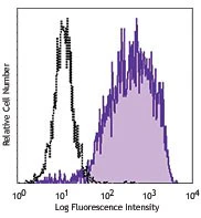 PerCP/Cyanine5.5 anti-human CD206 (MMR)