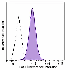 PerCP/Cyanine5.5 anti-human CD269 (BCMA)