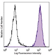 PerCP/Cyanine5.5 anti-human CD271 (NGFR)