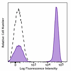 PerCP/Cyanine5.5 anti-human CD3