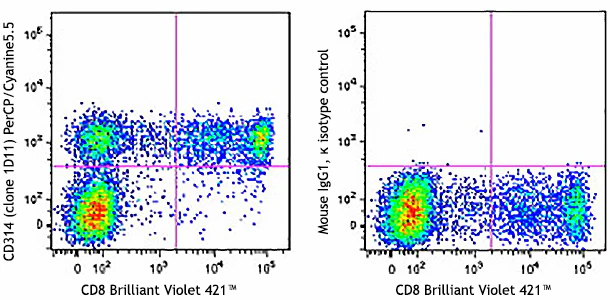 PerCP/Cyanine5.5 anti-human CD314 (NKG2D)