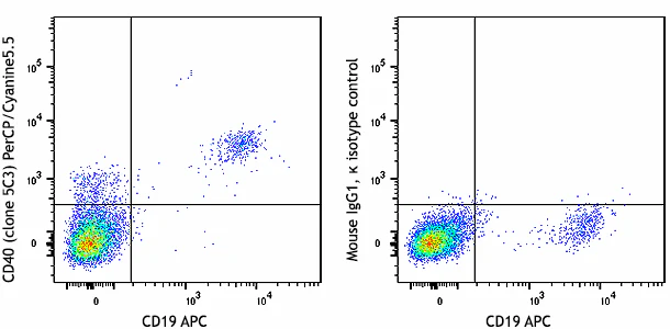 PerCP/Cyanine5.5 anti-human CD40