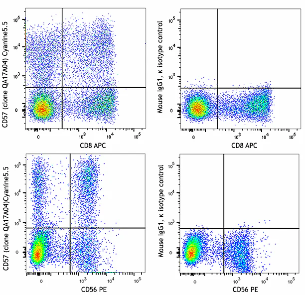PerCP/Cyanine5.5 anti-human CD57 Recombinant