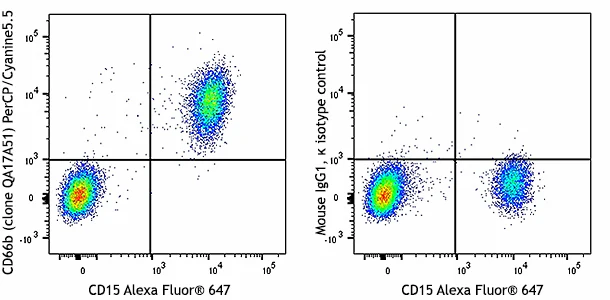 PerCP/Cyanine5.5 anti-human CD66b Recombinant