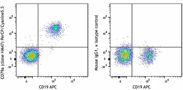 PerCP/Cyanine5.5 anti-human CD79a (Igα)