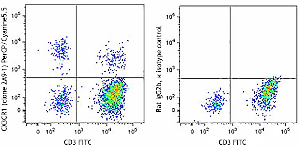 PerCP/Cyanine5.5 anti-human CX3CR1