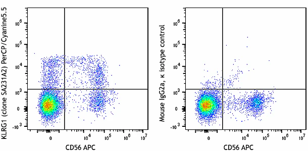 PerCP/Cyanine5.5 anti-human KLRG1 (MAFA)