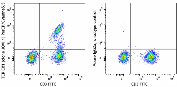PerCP/Cyanine5.5 anti-human TCR Cβ1