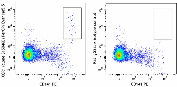 PerCP/Cyanine5.5 anti-human XCR1