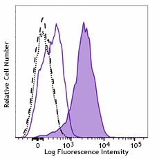 PerCP/Cyanine5.5 anti-IRF4