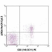 PerCP/Cyanine5.5 anti-mouse CD127 (IL-7Rα)