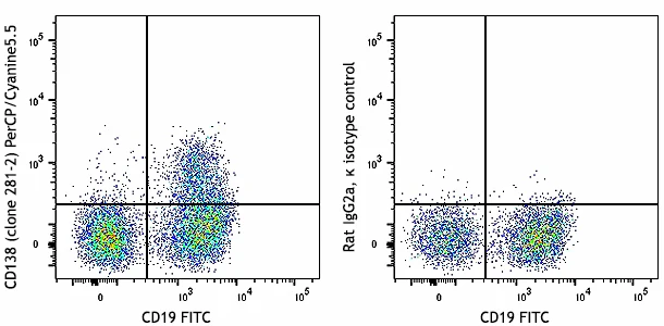 PerCP/Cyanine5.5 anti-mouse CD138 (Syndecan-1)
