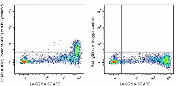 PerCP/Cyanine5.5 anti-mouse CD182 (CXCR2)