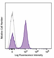 PerCP/Cyanine5.5 anti-mouse CD19