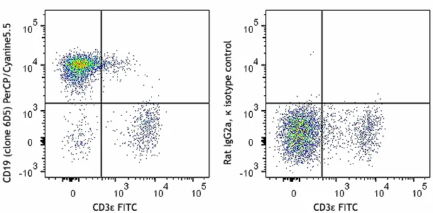 PerCP/Cyanine5.5 anti-mouse CD19