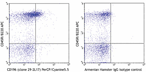 PerCP/Cyanine5.5 anti-mouse CD196 (CCR6)