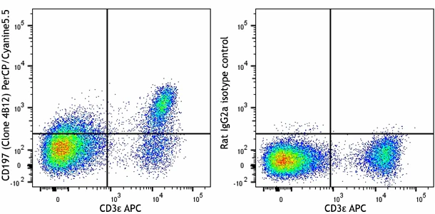 PerCP/Cyanine5.5 anti-mouse CD197 (CCR7)