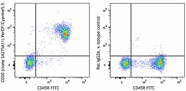 PerCP/Cyanine5.5 anti-mouse CD20