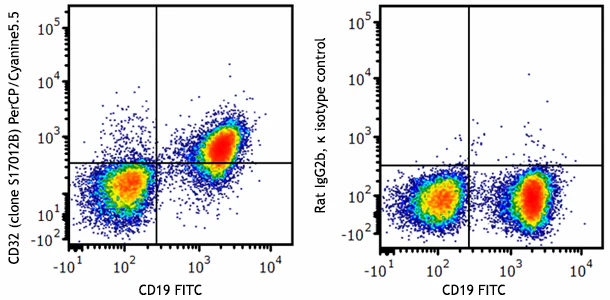 PerCP/Cyanine5.5 anti-mouse CD32 (Fcgr2)