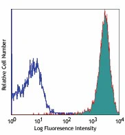 PerCP/Cyanine5.5 anti-mouse CD45.2