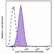PerCP/Cyanine5.5 anti-mouse CD47
