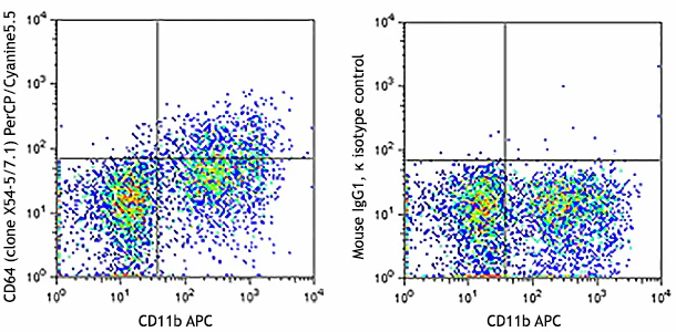 PerCP/Cyanine5.5 anti-mouse CD64 (FcγRI)