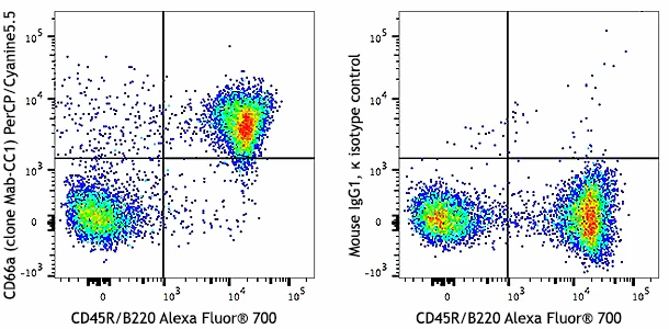 PerCP/Cyanine5.5 anti-mouse CD66a (CEACAM1a)