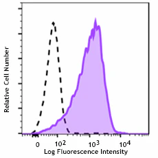 PerCP/Cyanine5.5 anti-mouse CD86