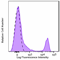 PerCP/Cyanine5.5 anti-mouse CD8a Recombinant