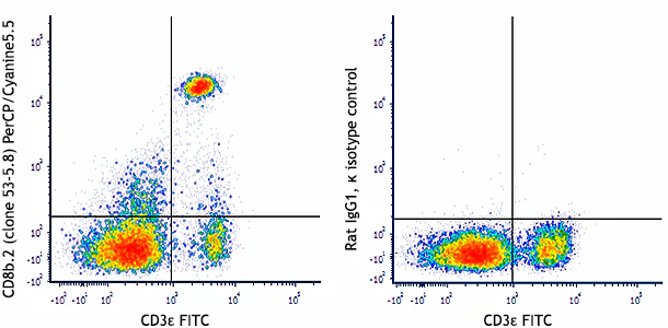 PerCP/Cyanine5.5 anti-mouse CD8b.2