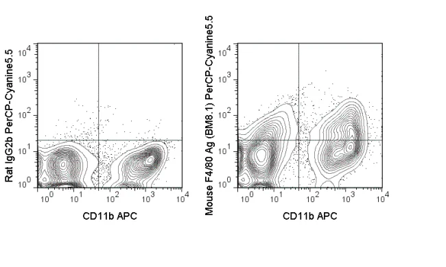 PerCP-Cyanine5.5 Anti-Mouse F4/80 Antigen (BM8.1)
