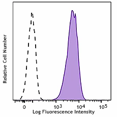PerCP/Cyanine5.5 anti-mouse FcεRIα