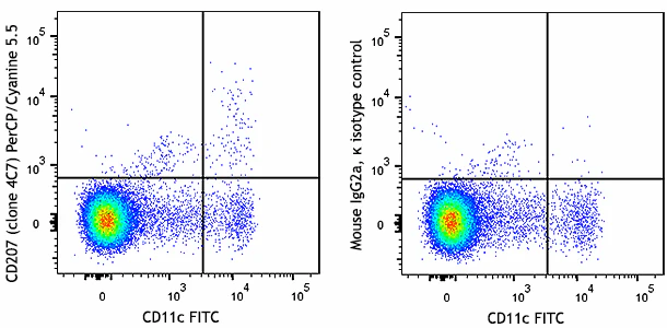 PerCP/Cyanine5.5 anti-mouse/human CD207 (Langerin)