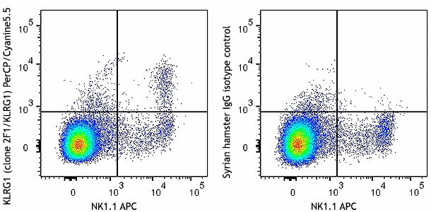 PerCP/Cyanine5.5 anti-mouse/human KLRG1 (MAFA)
